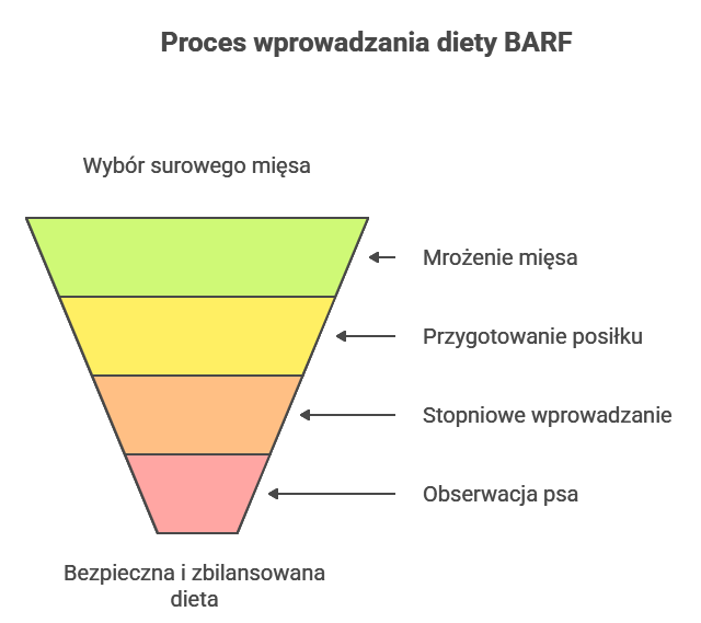 Proces wprowadzania diety BARF
